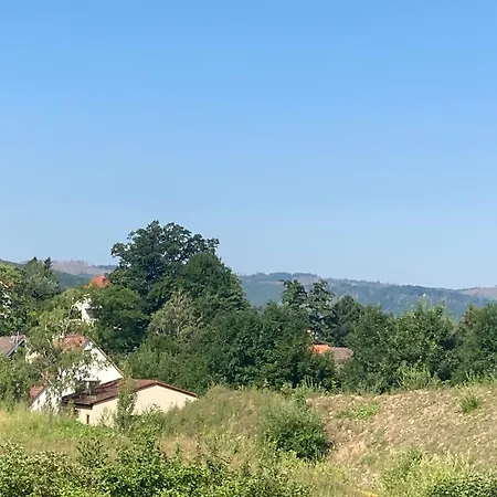 Apartment Waldhoehe Direkt Am Nationalpark - Ladestation Fuer E-auto - Sonniger Balkon Mit Bergblick