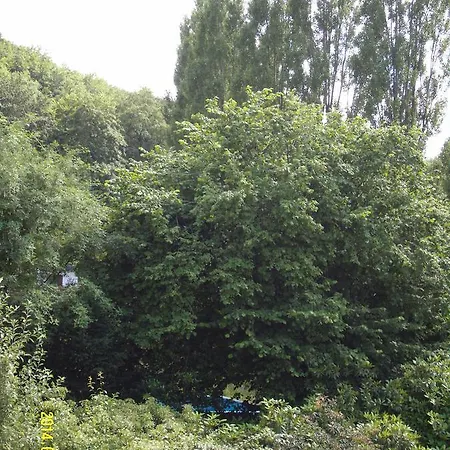 Ferienwohnung Waldhohe Lägenhet *